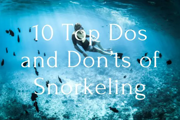 Dos and Don’ts of Snorkeling