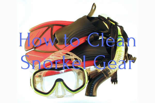 How to Clean Snorkel Gear