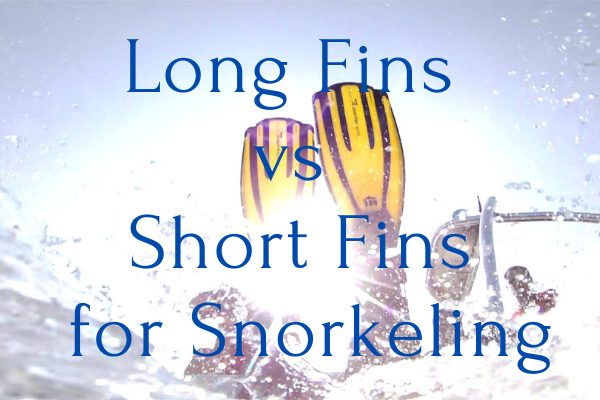 Long Fins vs Short Fins for Snorkeling