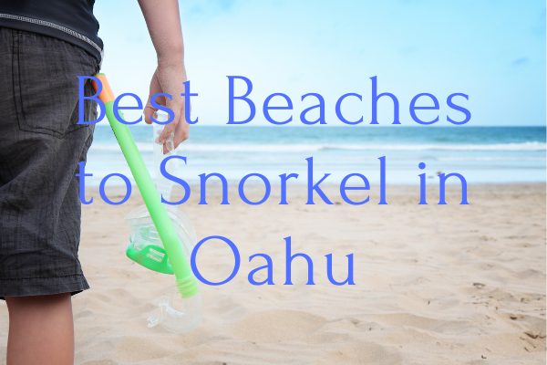 Best Beaches to Snorkel in Oahu