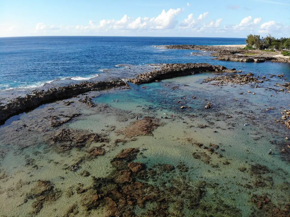 Shark's Cove -- Best Beaches to Snorkel in Oahu