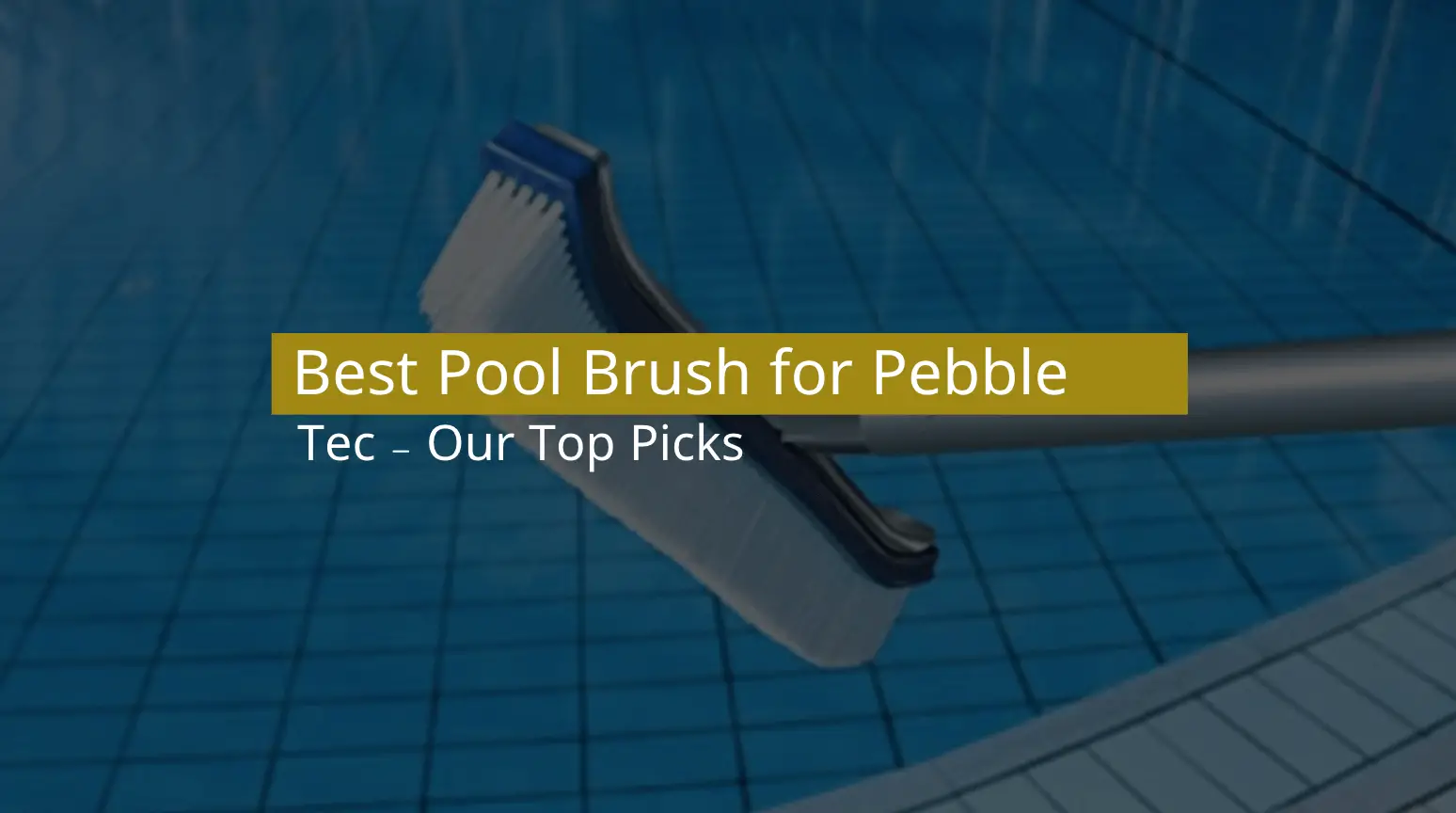 Best Pool Brush for Pebble Tec in 2022 - Our Top Picks & Guide