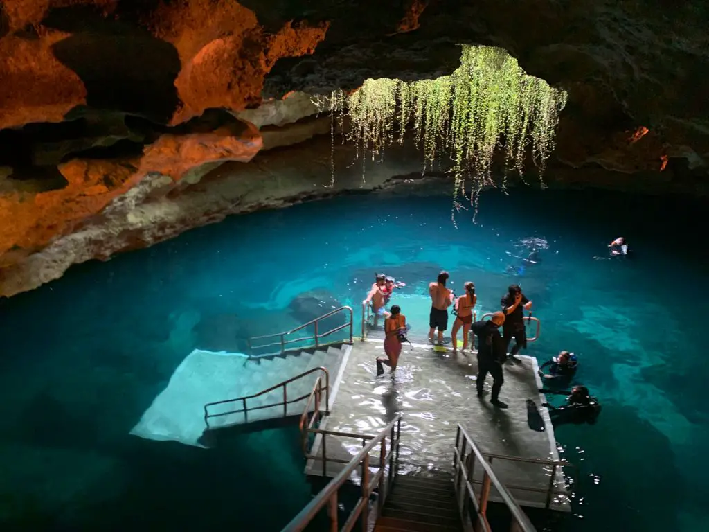 Devil's Den Prehistoric Spring