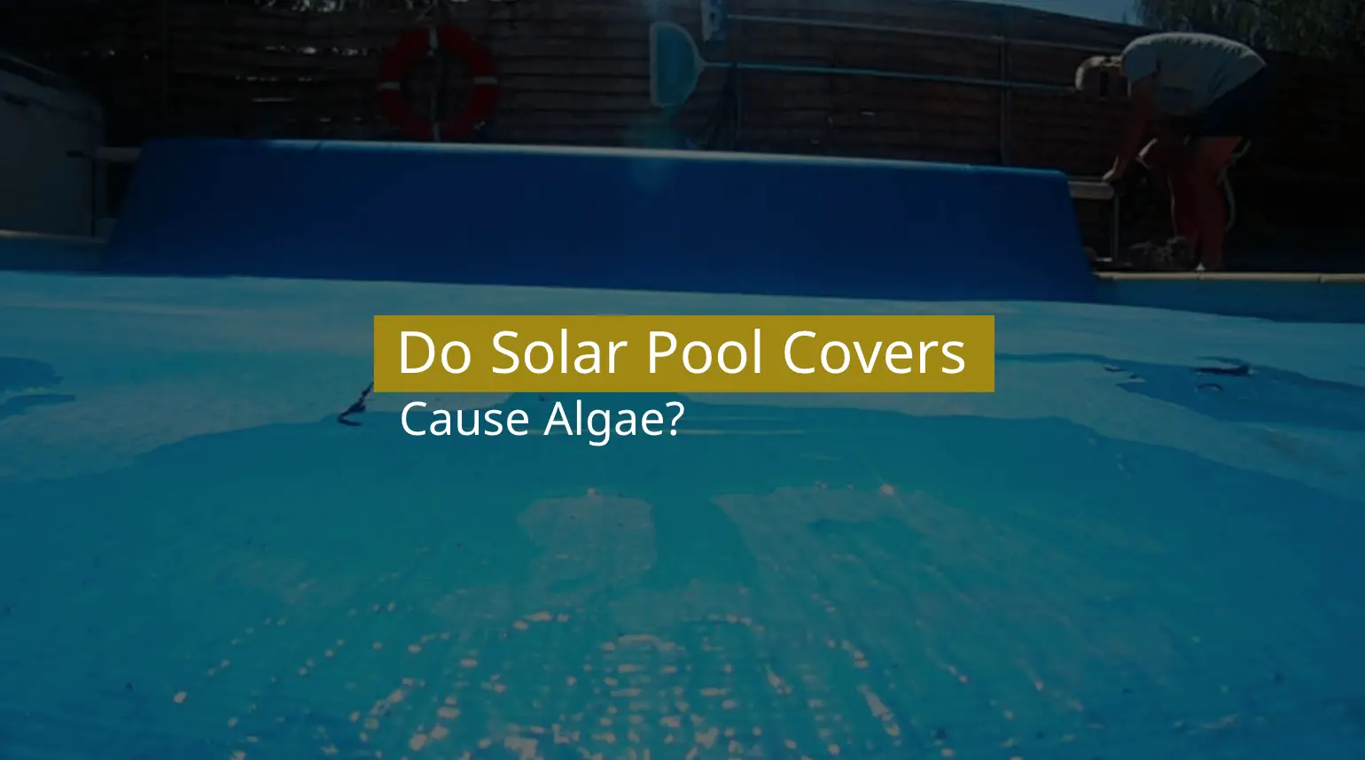 Do Solar Pool Covers Cause Algae?