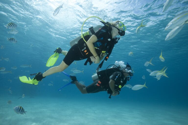 Best Places for Scuba Diving in Florida