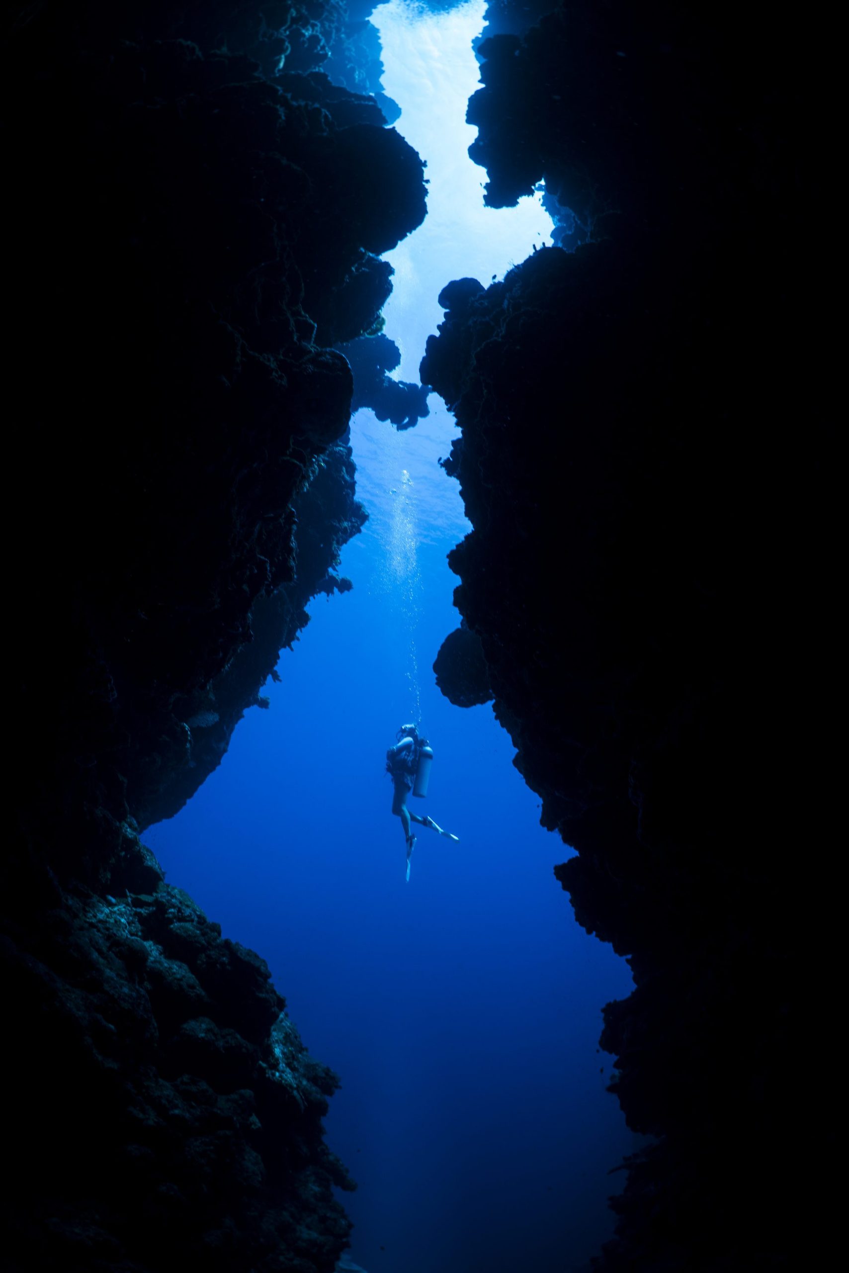 Facts about Scuba Diving