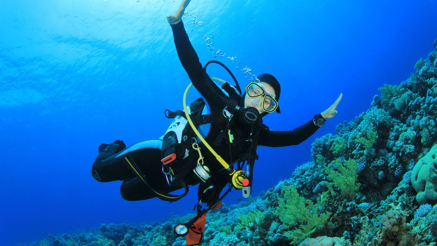 Bamboo Reef Scuba Diving Centers