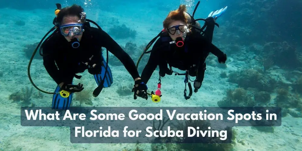 What Are Some Good Vacation Spots in Florida for Scuba Diving