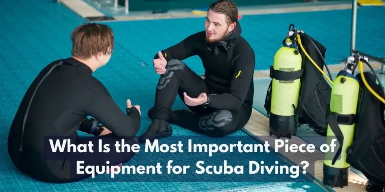 What Is the Most Important Piece of Equipment for Scuba Diving?