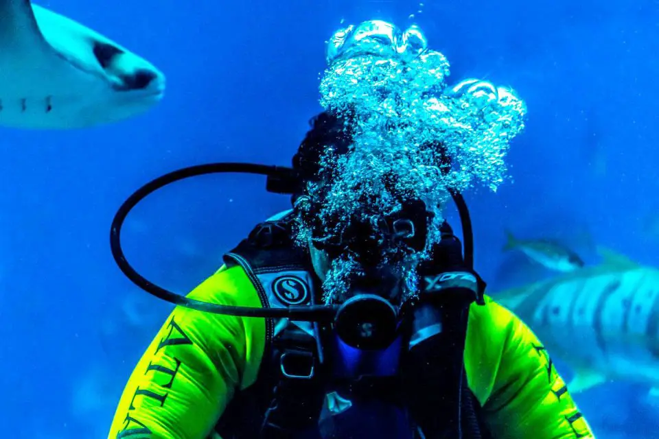 can I use an inhaler before Scuba diving?