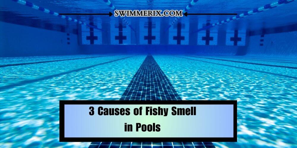 3 Causes of Fishy Smell in Pools