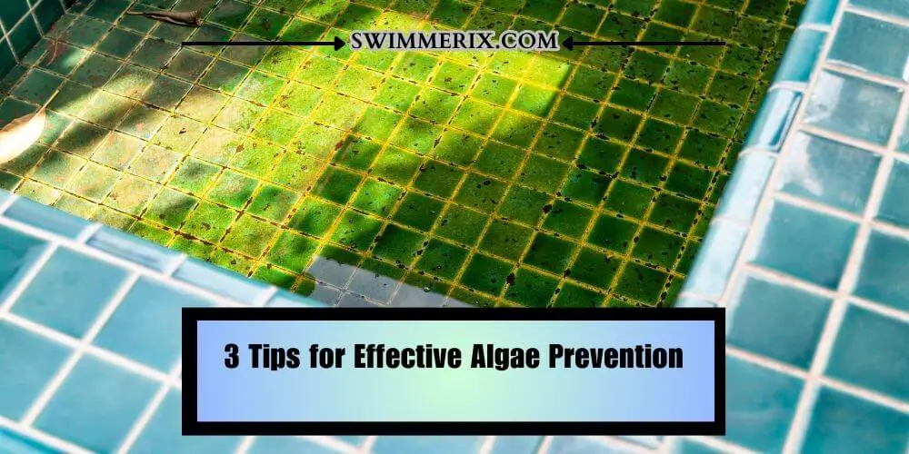 3 Tips for Effective Algae Prevention