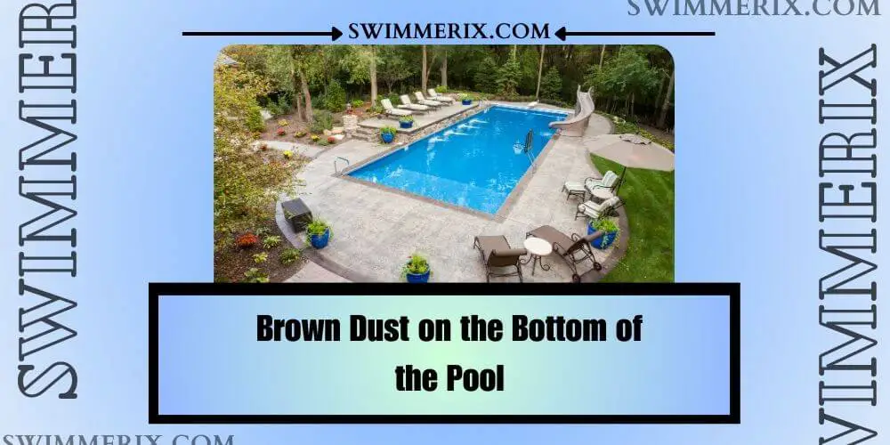 Brown Dust on the Bottom of the Pool
