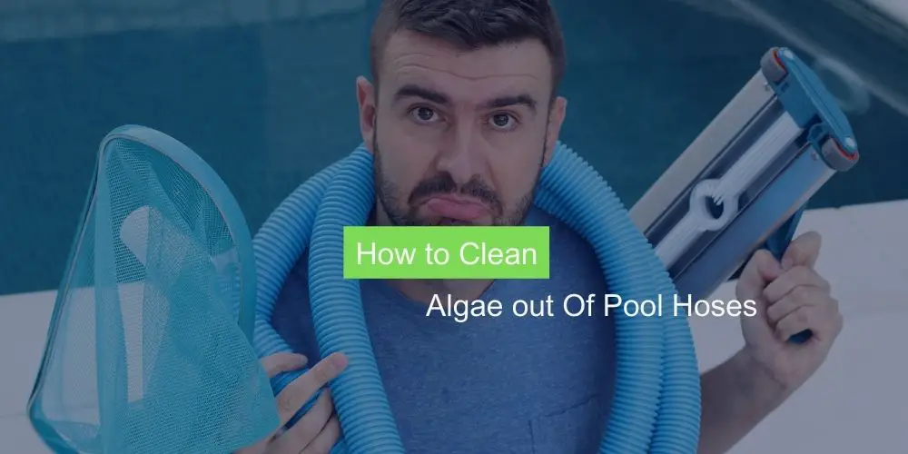 How to Clean Algae out Of Pool Hoses