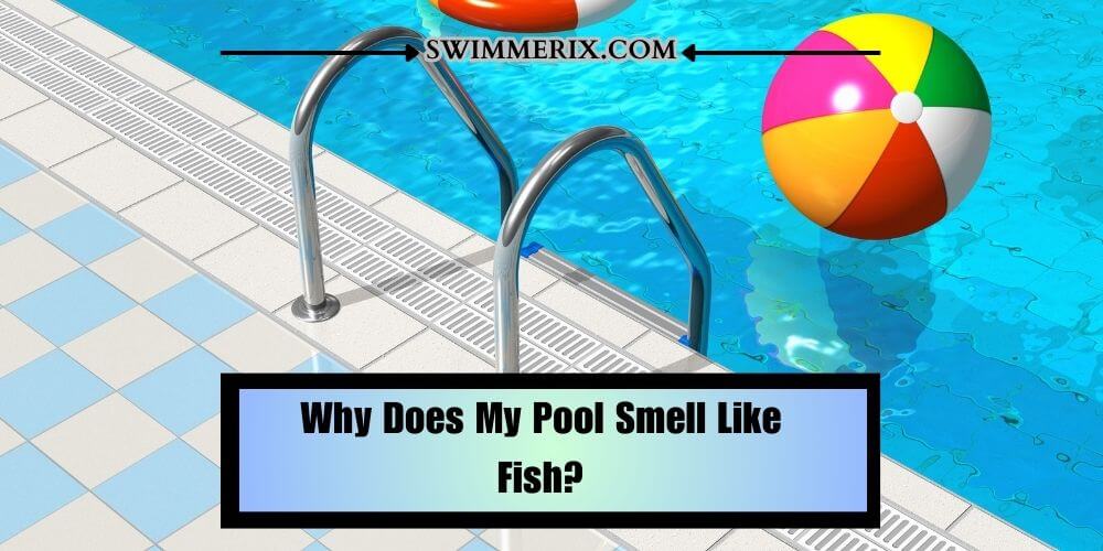 Why Does My Pool Smell Like Fish?