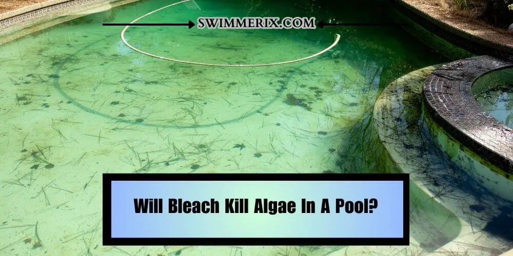 Will Bleach Kill Algae In A Pool?