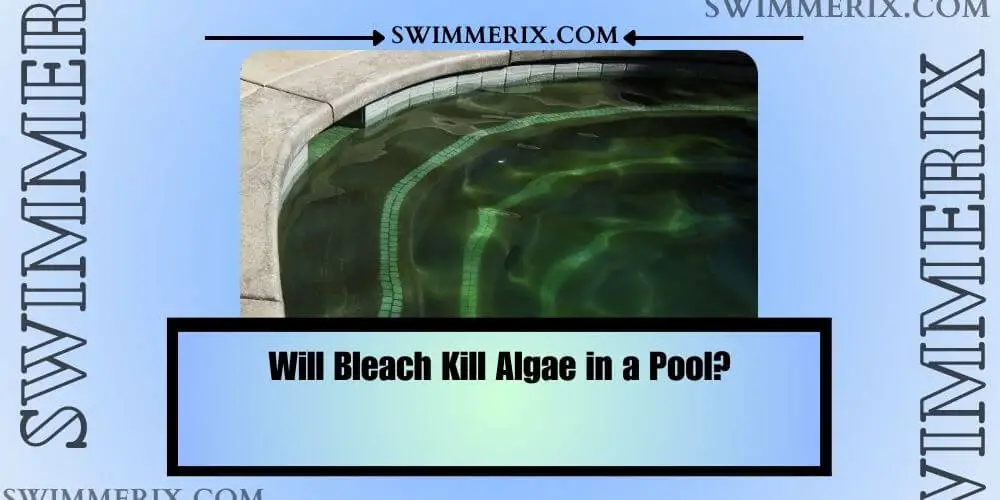 Will Bleach Kill Algae in a Pool? Swimmerix